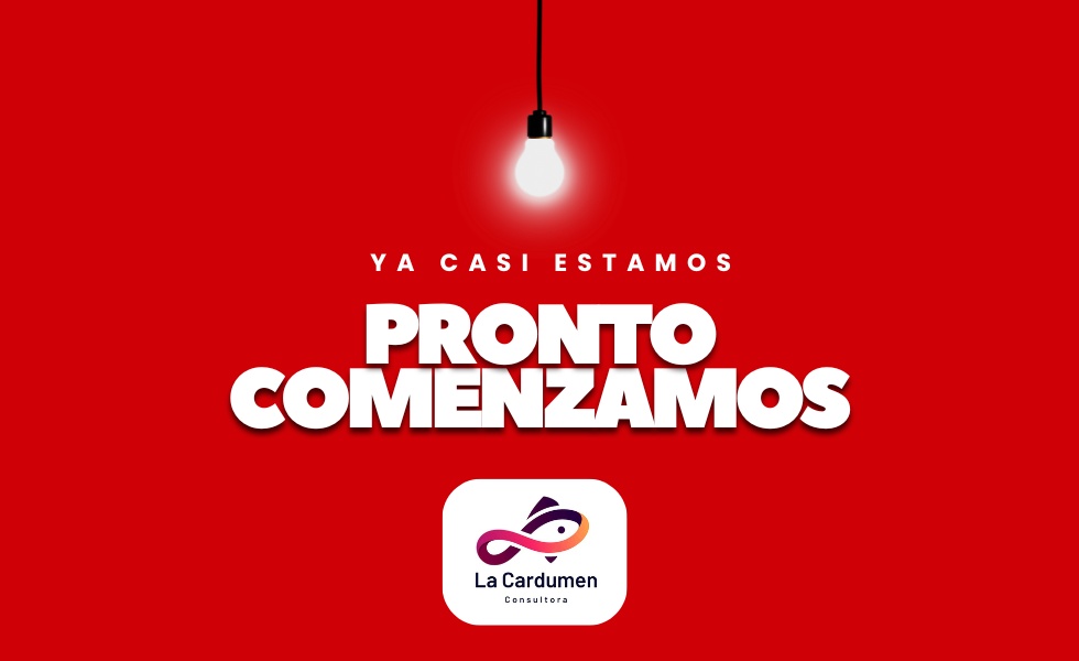 Consultora La Cardumen